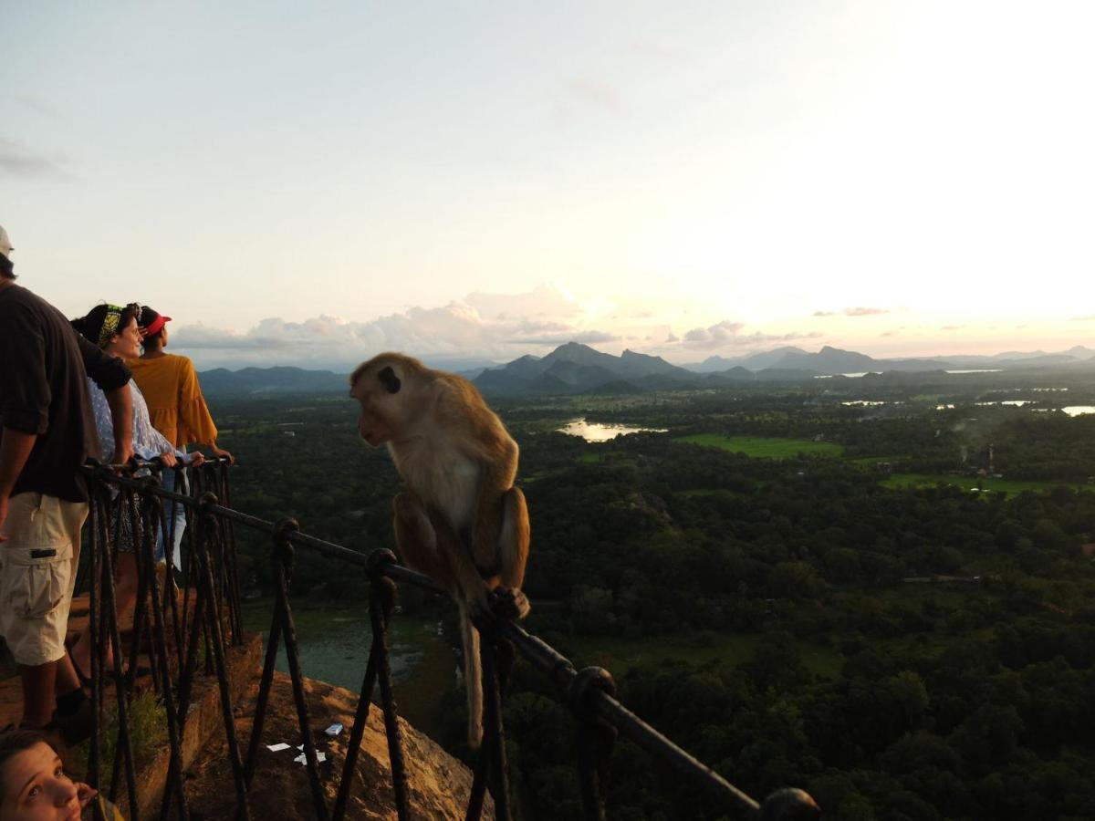 One More Night Hostel&Resort Sigiriya Exterior foto
