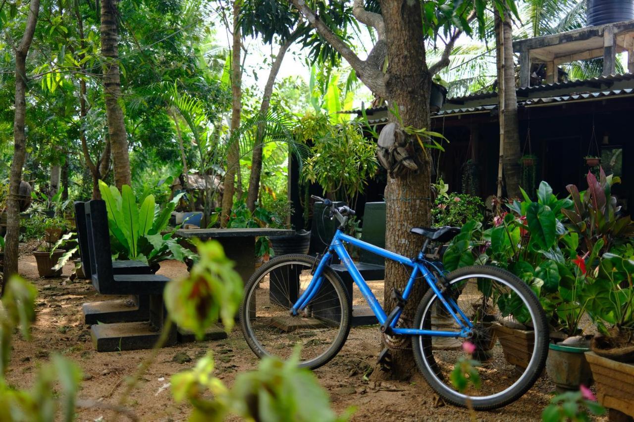 One More Night Hostel&Resort Sigiriya Exterior foto
