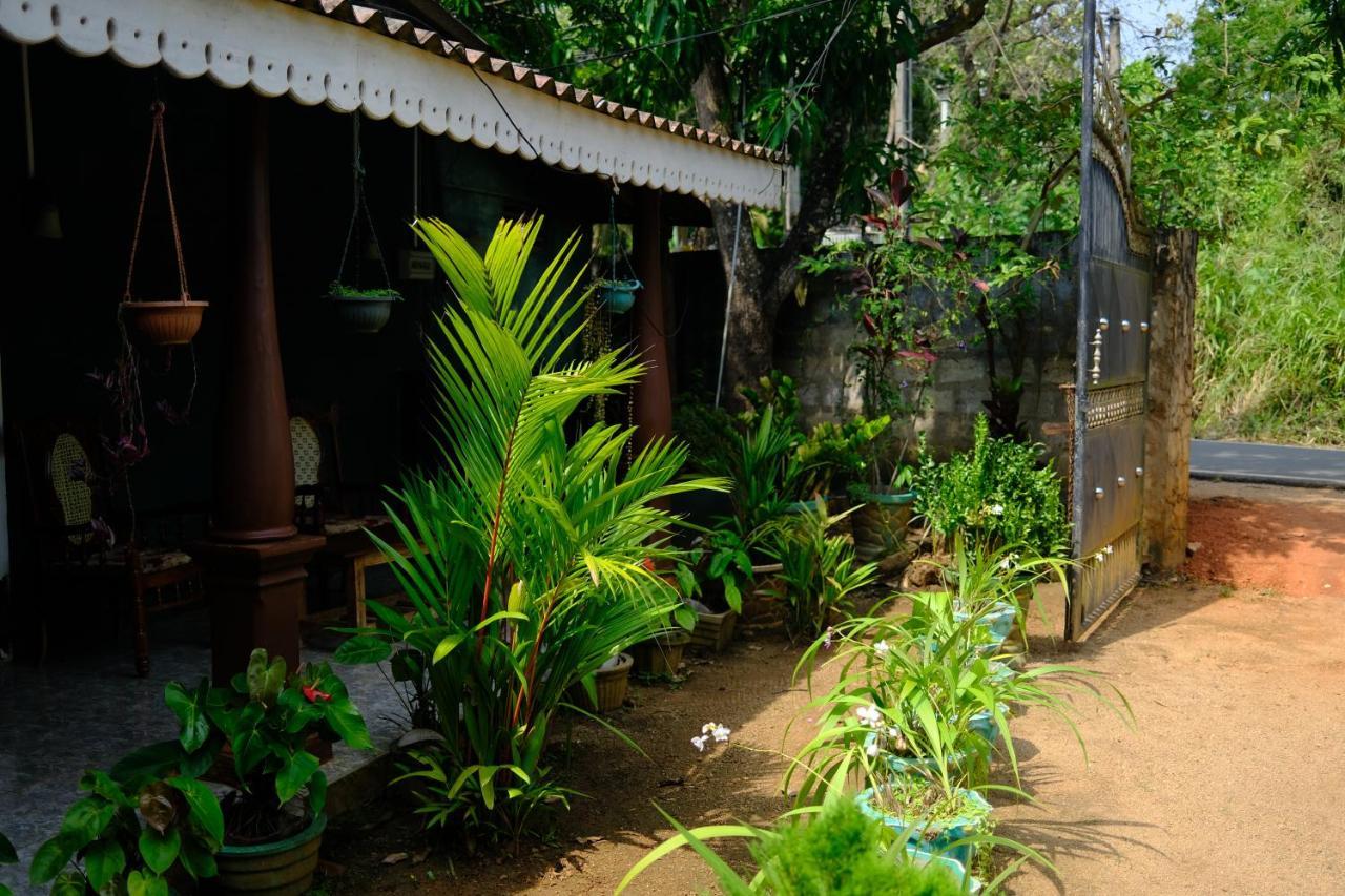 One More Night Hostel&Resort Sigiriya Exterior foto
