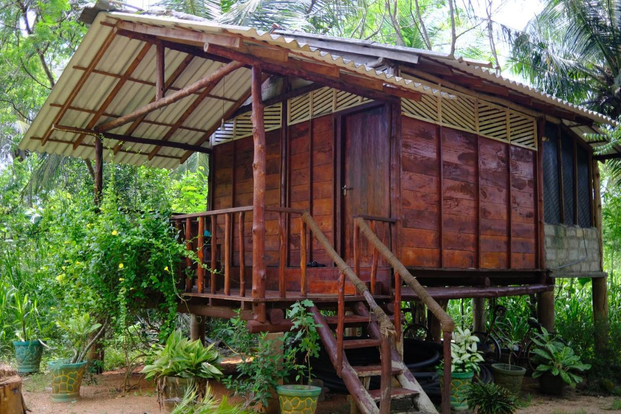 One More Night Hostel&Resort Sigiriya Exterior foto