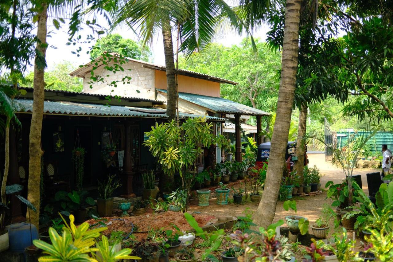 One More Night Hostel&Resort Sigiriya Exterior foto
