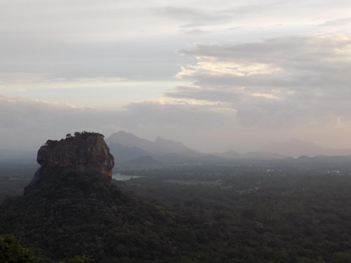 One More Night Hostel&Resort Sigiriya Exterior foto